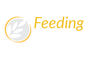 Feeding Mississippi
